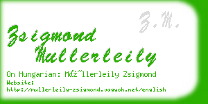 zsigmond mullerleily business card